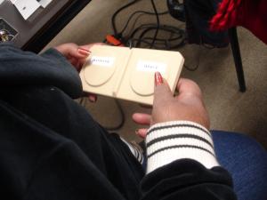 paddle switch